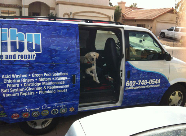 Malibu Pool Service and Repair Provides A Number Of Different Pool Services