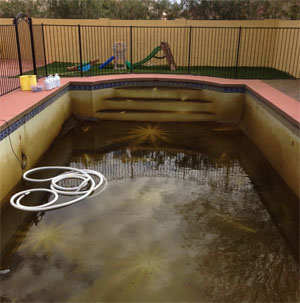 The Importance of Regular Mesa AZ Pool Maintenance 